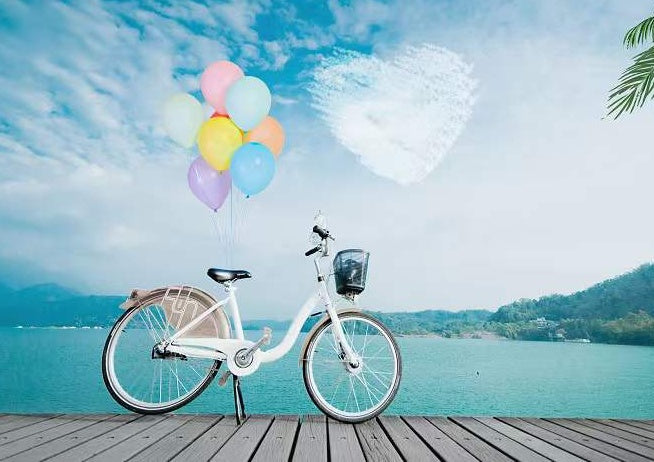Fiets met Ballonnen bij Meer Schilderen op Nummers