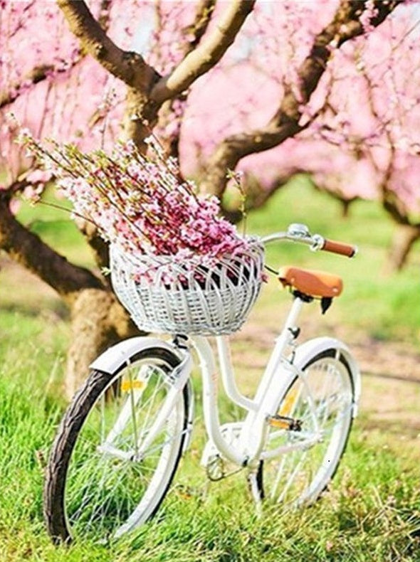 Fiets onder Bloesembomen Schilderen op Nummers