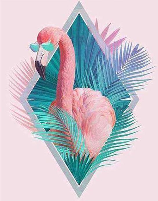 Flamingo met Blauwe Bril Schilderen op Nummers