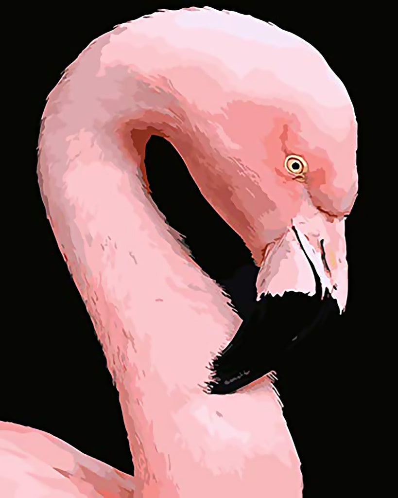 Flamingo Schilderen op Nummers
