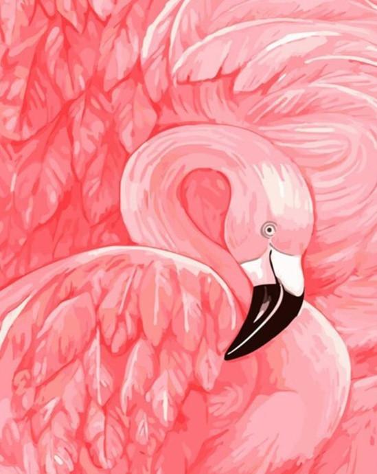 Flamingo Schilderen op Nummers