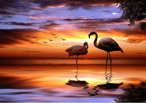 Flamingo's bij Zonsondergang Schilderen op Nummers