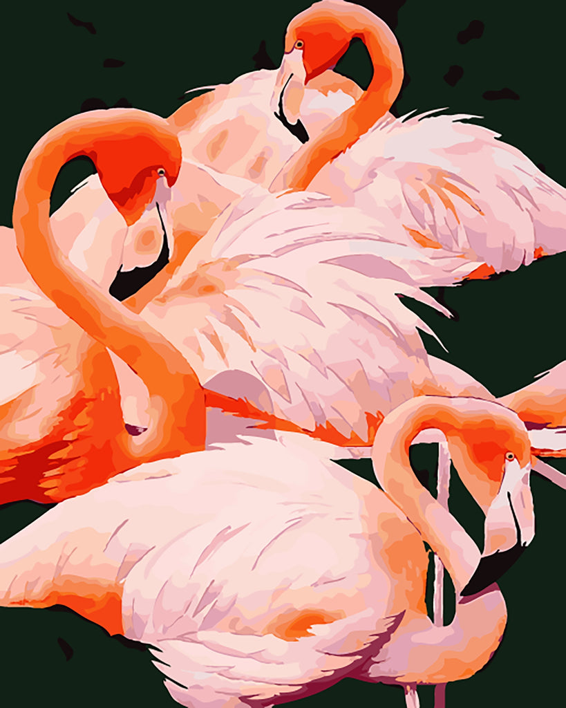 Flamingos Schilderen op Nummers