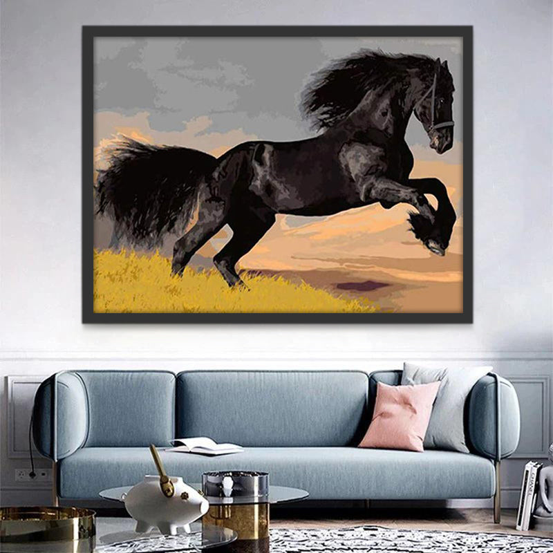 Galopperend Zwart Paard Schilderen op Nummers
