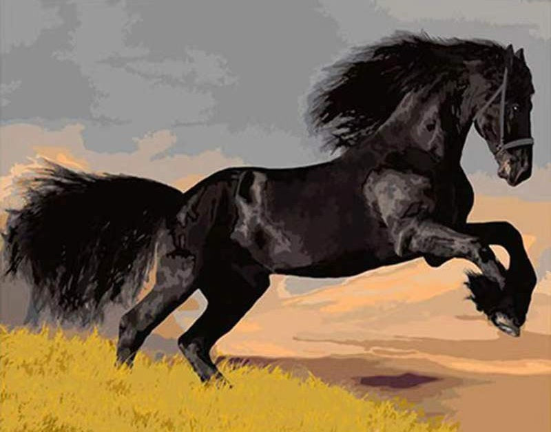Galopperend Zwart Paard Schilderen op Nummers