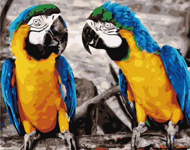Geel-Blauwe Papegaaien Schilderen op Nummers