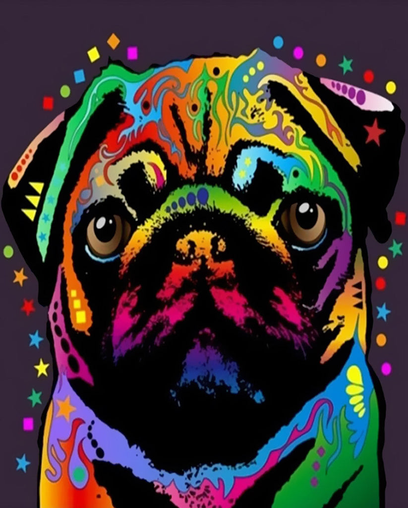 Gekleurde Bulldog Pop Art Schilderen op Nummers