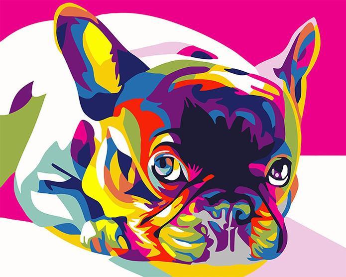 Gekleurde Bulldog Pop Art Schilderen op Nummers