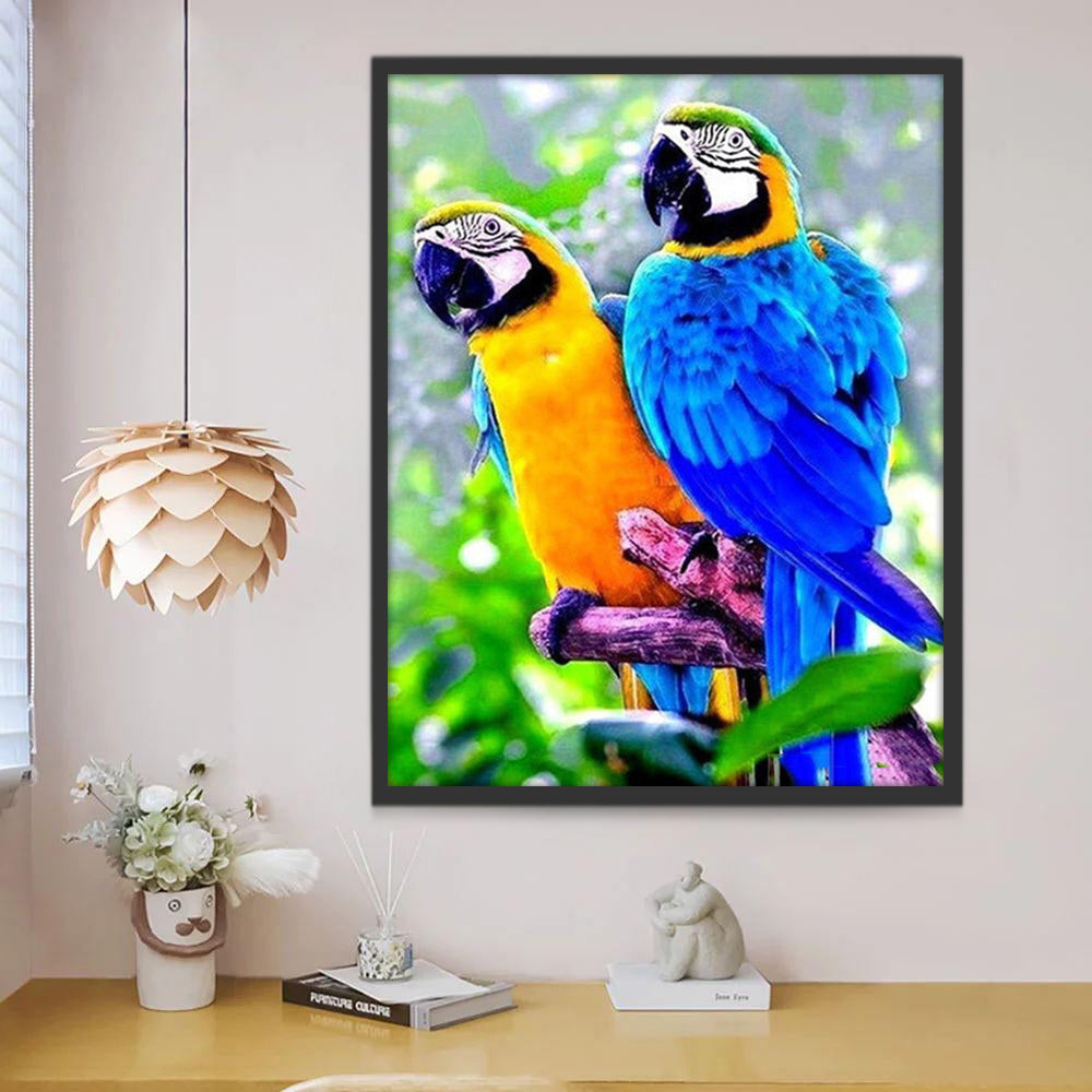 Gele Papegaai en Blauwe Papegaai Schilderen op Nummers