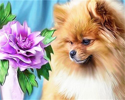 Gele Pomeriaan en Paarse Bloemen Schilderen op Nummers