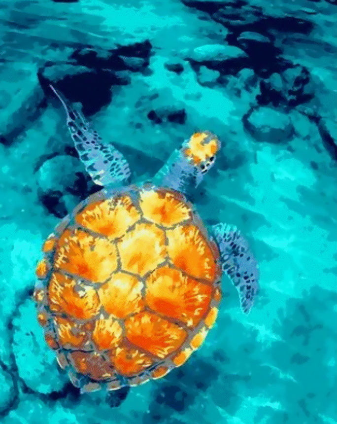 Gele Schildpad Schilderen op Nummers