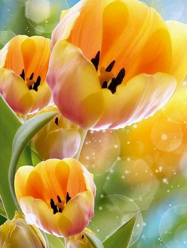 gele tulpen Schilderen op Nummers