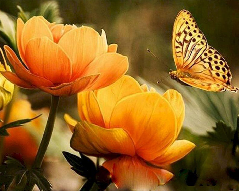 Gele vlinder en bloem Schilderen op Nummers
