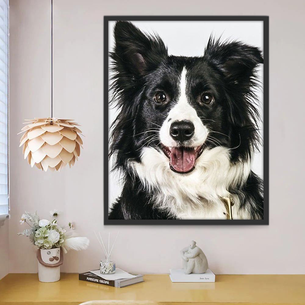 Gelukkige Border Collie Schilderen op Nummers