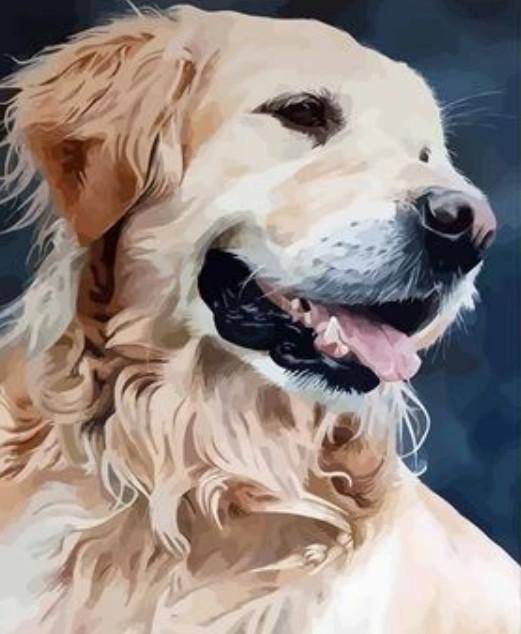 Gelukkige Golden Retriever Schilderen op Nummers