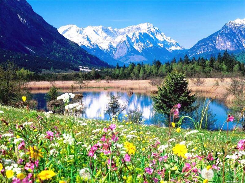 Gelukzalig Berglandschap met Bloemen Schilderen op Nummers