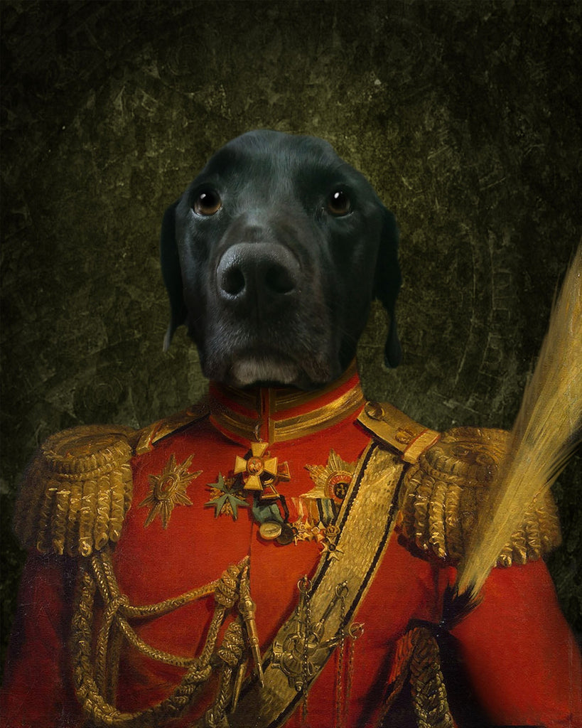 Generaal Zwarte Hond Schilderen op Nummers