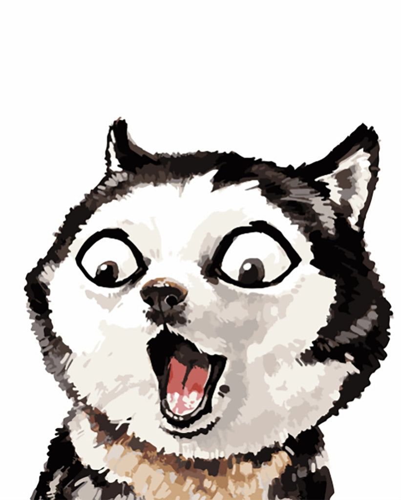Geschokte Cartoon Hond Schilderen op Nummers