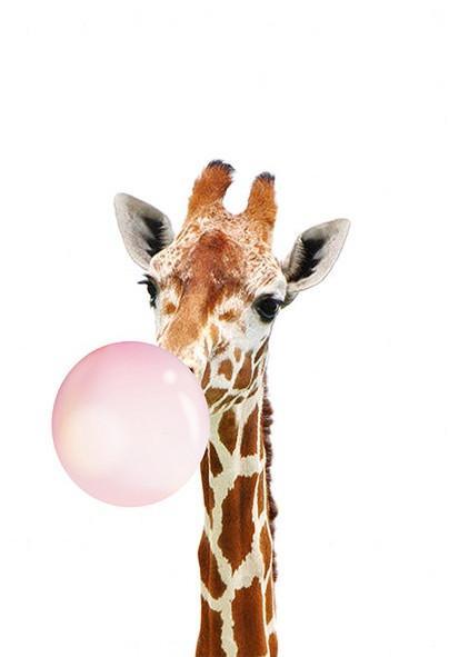 Giraffe Eet Roze Kauwgom Schilderen op Nummers