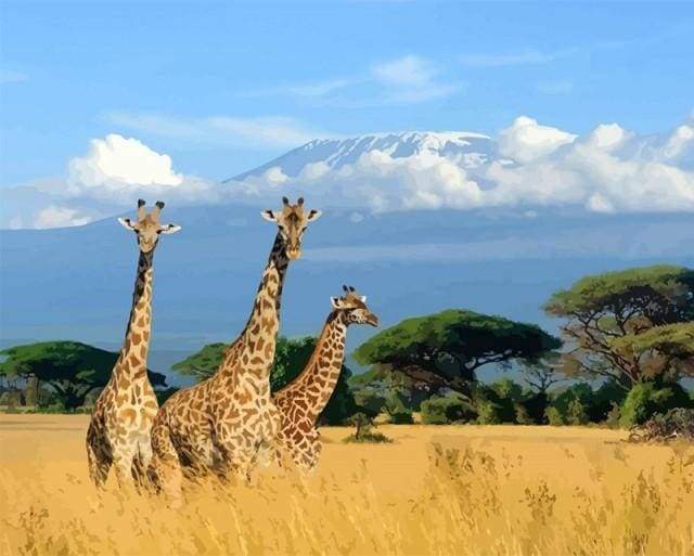 Giraffen in het Grasland Schilderen op Nummers