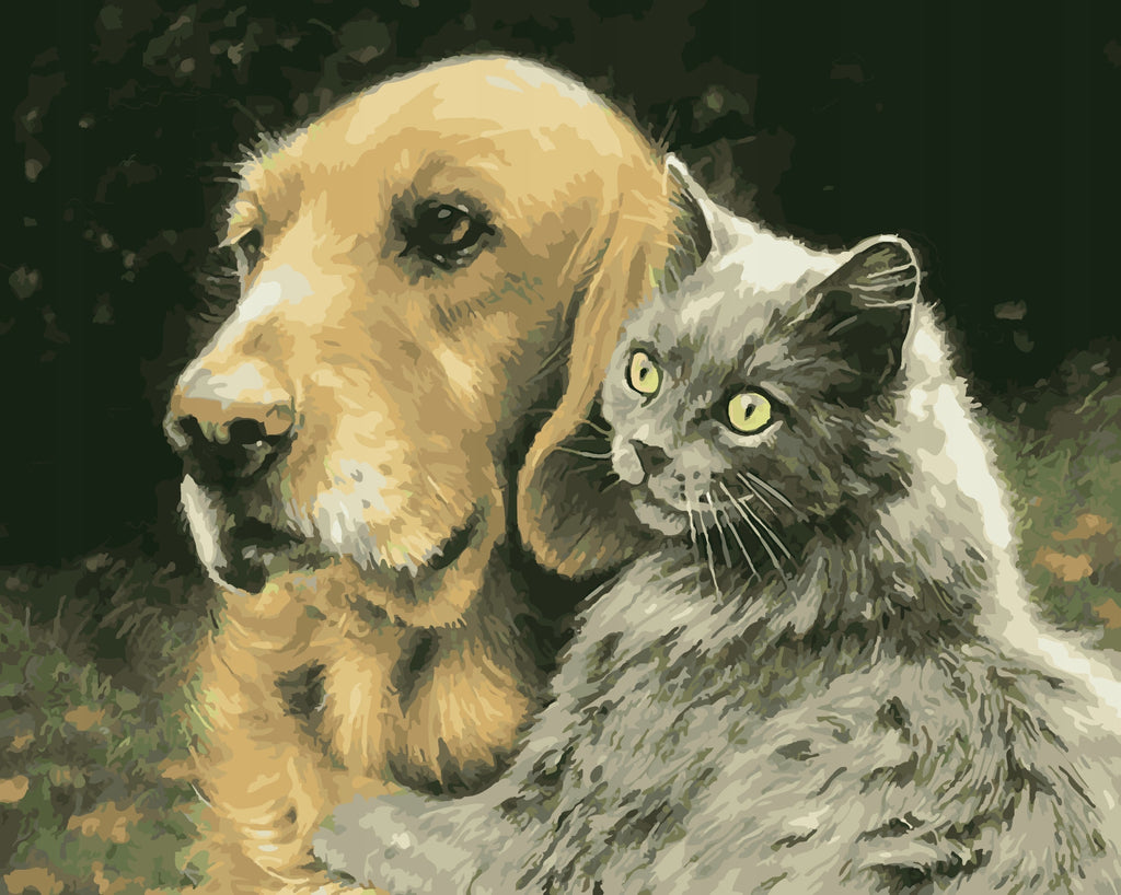 Golden Retriever en Kat Schilderen op Nummers