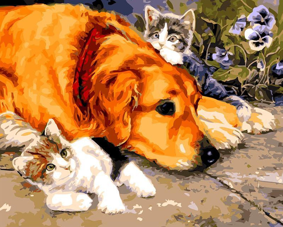 Golden Retriever en Twee Katten Schilderen op Nummers