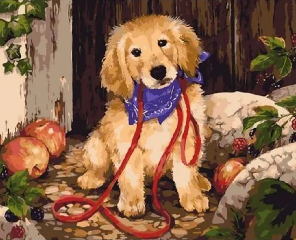 Golden Retriever met Blauwe Sjaal Schilderen op Nummers