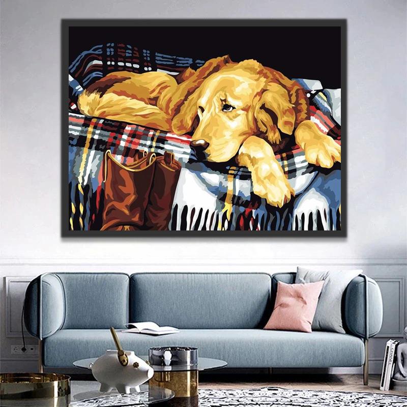 Golden Retriever op Deken Schilderen op Nummers