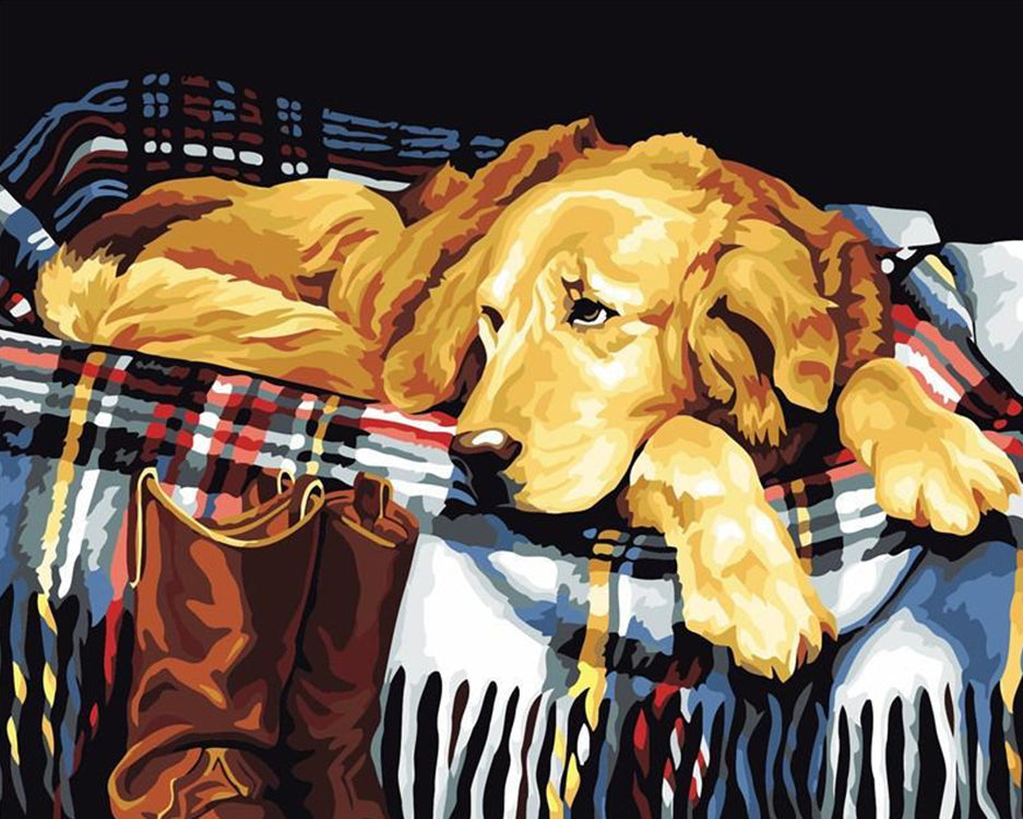 Golden Retriever op Deken Schilderen op Nummers