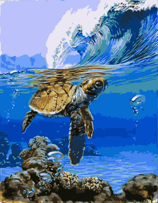 Golven en Schildpad Schilderen op Nummers