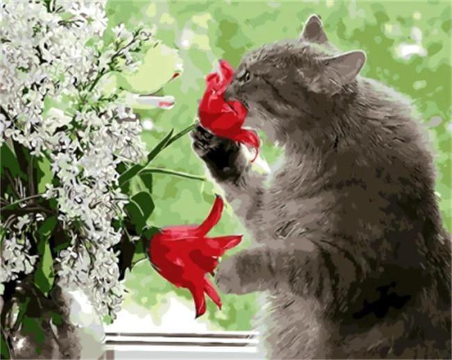 Grijze Kat en Rode Bloem Schilderen op Nummers