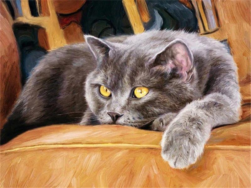 Grijze Kat Liggend op de Bank Schilderen op Nummers