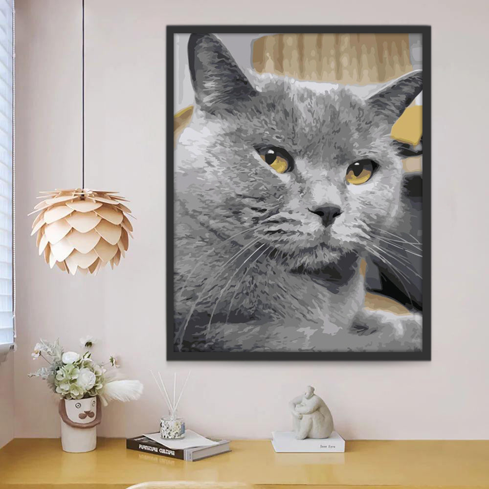 Grijze Kat Schilderen op Nummers