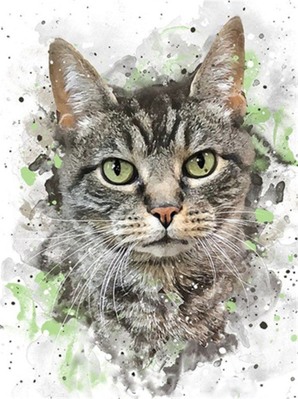 Grijze Kat Schilderen op Nummers