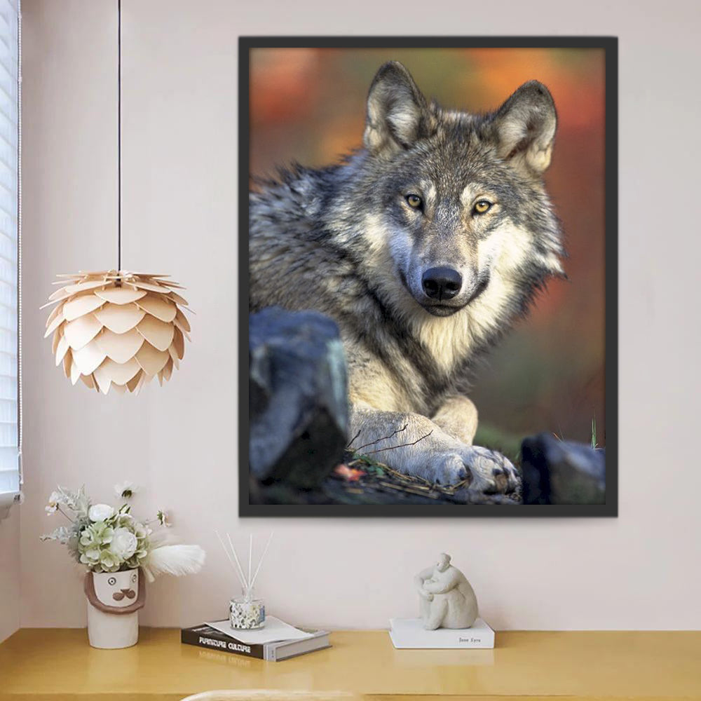 Grijze Wolf Schilderen op Nummers