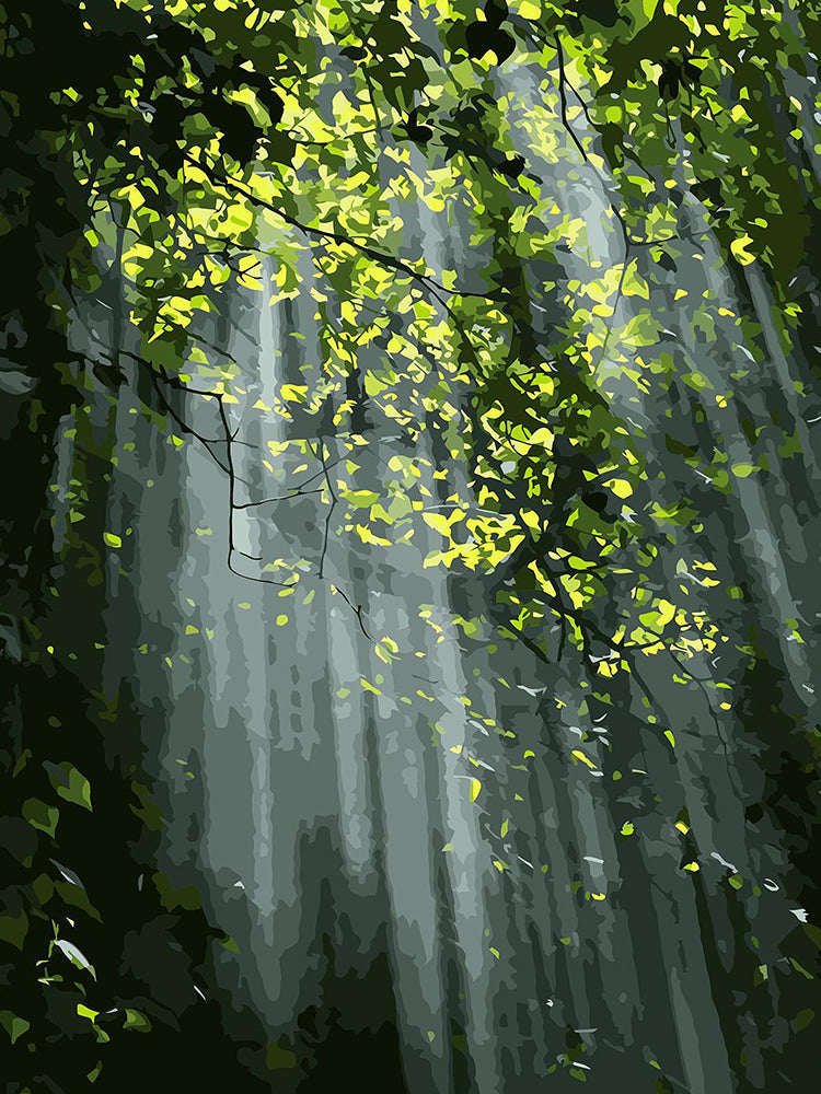 Groene Bladeren in de Zon Schilderen op Nummers
