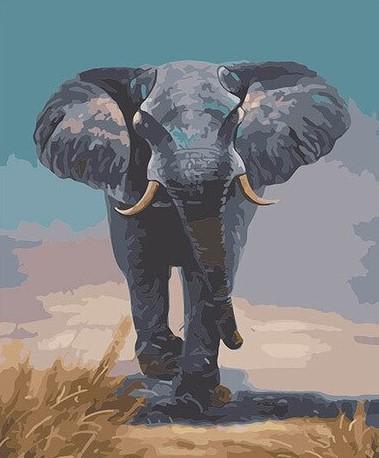 Grote Afrikaanse Olifant Schilderen op Nummers