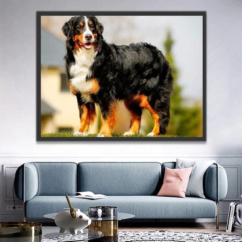 Grote Berner Sennenhond Schilderen op Nummers