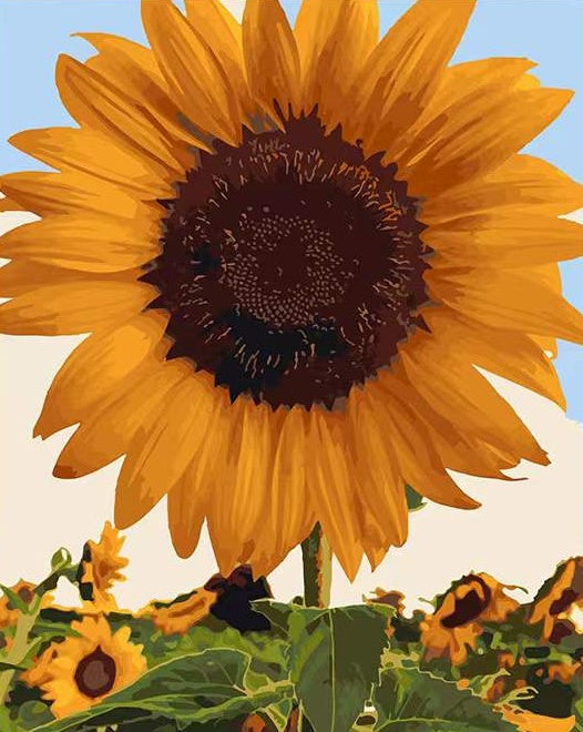 Grote en Dubbele Zonnebloem Schilderen op Nummers