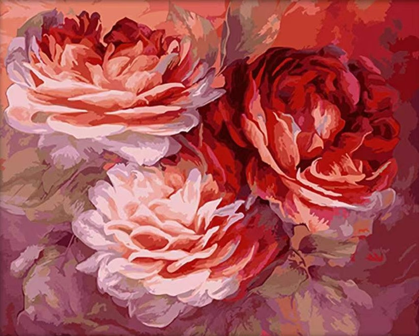 Grote roze en rode pioenrozen Schilderen op Nummers