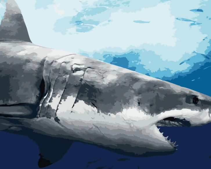 Zeedier Haai Walvis Schilderen op Nummers PBNWHAW007