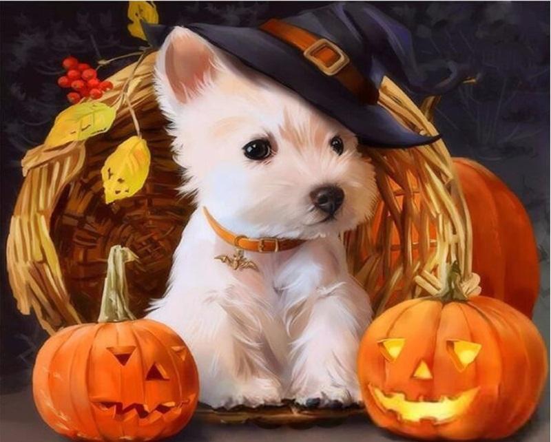 Halloween Pompoenen en Schattige West Highland Terrier Schilderen op Nummers