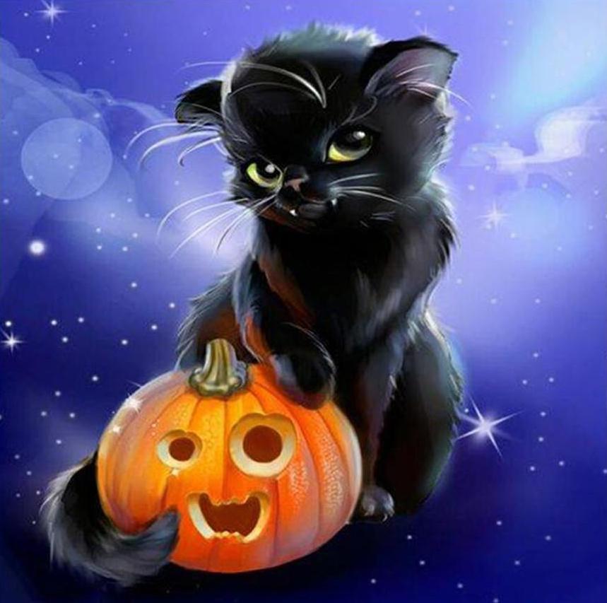 Halloween Pompoenlamp en Schattige Zwarte Kat Schilderen op Nummers