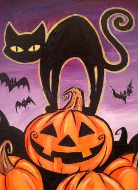 Halloween Zwarte Kat op Pompoen Schilderen op Nummers