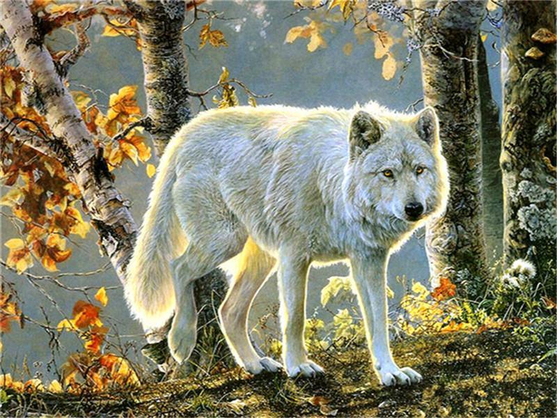 Herfstbladeren en Wolf Schilderen op Nummers