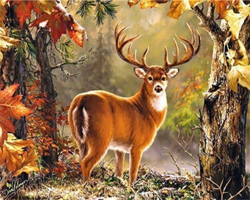 Hert in het Herfstbos Schilderen op Nummers