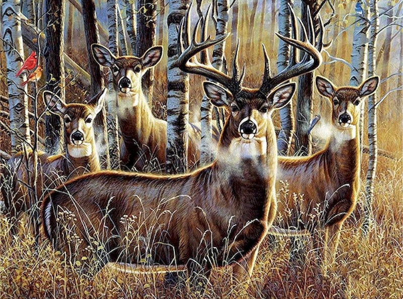 Herten in het Bos Schilderen op Nummers