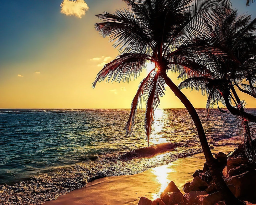 Het Strand in de Avond Schilderen op Nummers