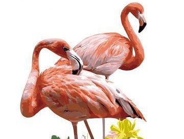Flamingos Schilderen op Nummers