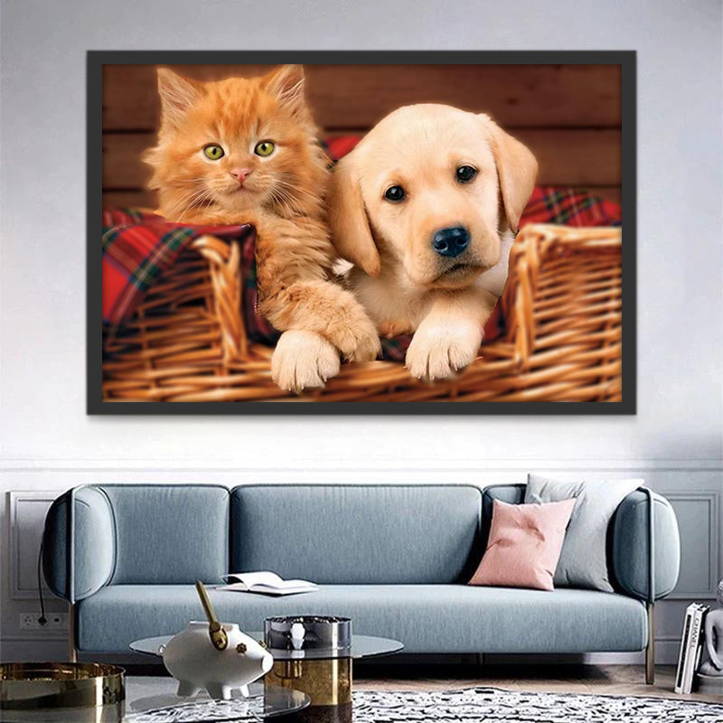 Hond en Kat in Bamboemand Schilderen op Nummers